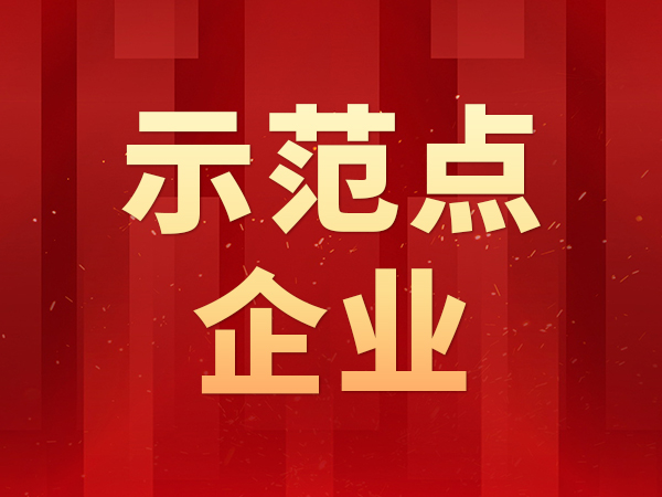 【示范点企业】隆信激光获2024年研究生联合培养示范点企业